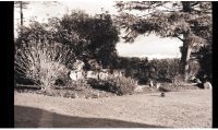 The Taylor's rockery garden at Stonehedges