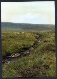 An image from the Dartmoor Trust Archive