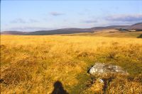 Tinners Boundstone on Riddon Ridge