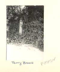 Cross shaft at Torry Brook (Plympton)