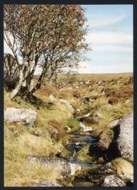 An image from the Dartmoor Trust Archive