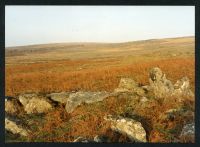 An image from the Dartmoor Trust Archive