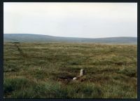 15/43 Philpotts Cut near Stat's House towards Head of North Teign 30/7/1991