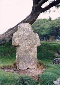 Fitz's Well Cross