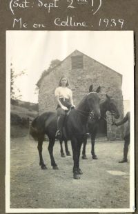 Riding at  Yellam Farm