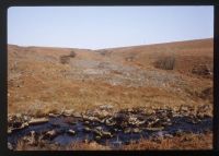 Lode Waste in Erme Valley