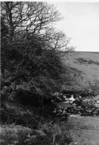 An image from the Dartmoor Trust Archive