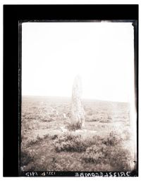 Drizzlecombe menhir and stone row