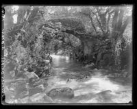 Shipley Bridge over the River Avon