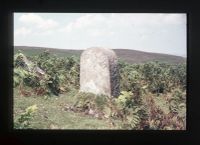 Victoria Boundary Stone 