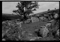 Metherall Hut Circle