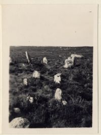 Stone row at Trowlesworthy