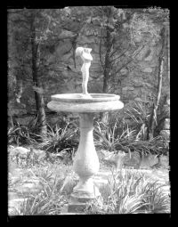 Birdbath in garden at Plympton