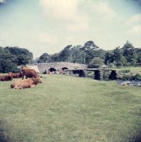 An image from the Dartmoor Trust Archive