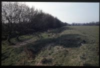 Canal to Teignbridge