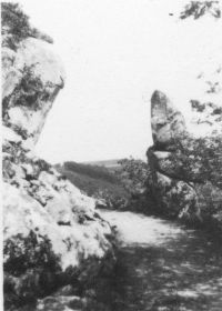 An image from the Dartmoor Trust Archive