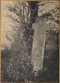 Ringhole Copse Cross