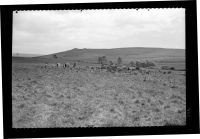 Yellowmead Down Stone Circles