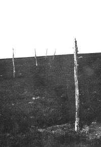 Posts erected to prevent airborne landing