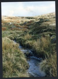 An image from the Dartmoor Trust Archive