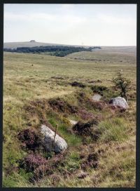 An image from the Dartmoor Trust Archive