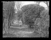 Shirley Taylor in the Garden at Moorside, Horrabridge