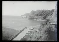 Coryton Cove, Dawlish