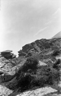 An image from the Dartmoor Trust Archive