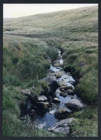 34/46 Cut Lane stream and East slope of Cut Hill 18/8/1991