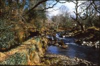 Mill Leat near Okehampton