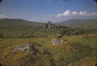 Vixen Tor from Heckwood