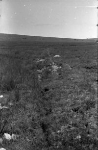 NEGATIVE OF MIDDLE CROSSING DRAIN STREAM HALSHANGER by R. HANSFORD WORTH,