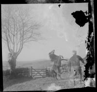 An image from the Dartmoor Trust Archive