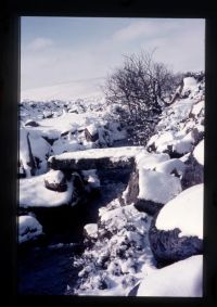 Teignhead Clapper Bridge