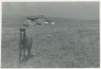 An image from the Dartmoor Trust Archive