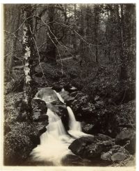 A stream, location unknown, probably near Penryn, Cornwall.