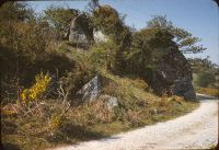 Road to Vixen Tor Cottage