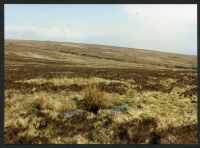 27/10 Old Hill from near source of Middle Brook 7/3/1991