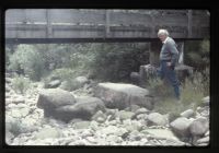 Standon steps bridge