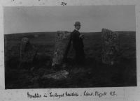 Standing stones at Tor Royal