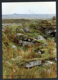 An image from the Dartmoor Trust Archive