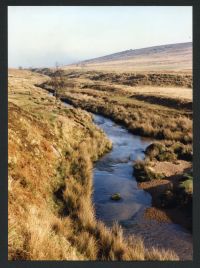 An image from the Dartmoor Trust Archive