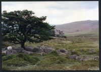 9/29 Above Glascombe Corner 29/5/1991