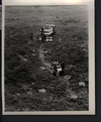 Monks unloading bee hives