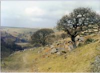 An image from the Dartmoor Trust Archive