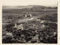 Stone row at Shuggledown