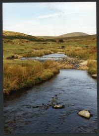 An image from the Dartmoor Trust Archive