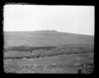 Sheeps Tor