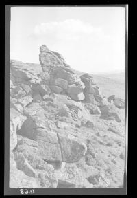 Honeybag Tor