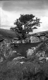 An image from the Dartmoor Trust Archive